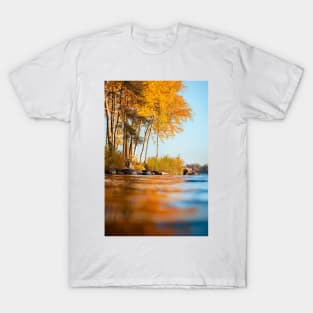 Autumn Reflection T-Shirt